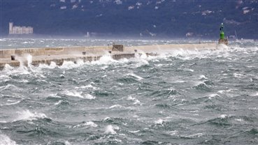 ANNULLAMENTO BARCOLANA 2020